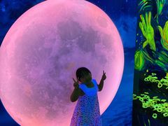 -天津梵高星空艺术馆(天河城旗舰店)