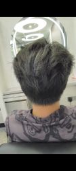 -YESIDO椰岛造型