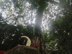 -七仙岭温泉国家森林公园