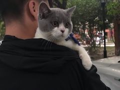 -酷狗靓猫宠物·洗护·美容·寄养(航北路店)
