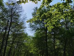 -宁波杭州湾国家湿地公园