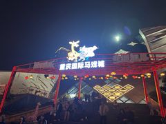 -重庆国际马戏城