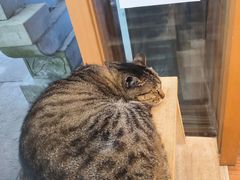 -猫的天空之城概念书店(杭州南宋御街店)