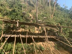 -西双版纳原始森林公园