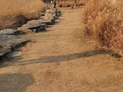 -苏州湾体育公园