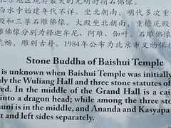 -白水寺森林公园