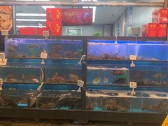 -盒马鲜生(宝地店)