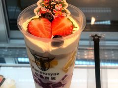 -Mnemosyne尼莫西妮(香港城店)