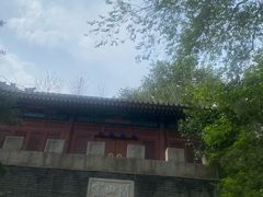 -云岗森林公园