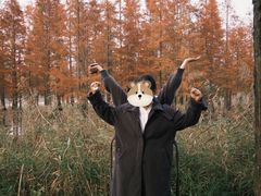 -白鹭湾湿地公园