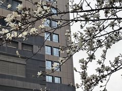 -哈根达斯(西安高新店)