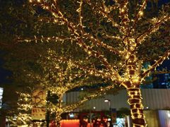 -深圳湾万象城(南山店)