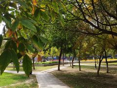 -东北大学(南湖校区)