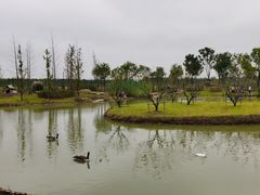 -祥源·阜阳生态乐园