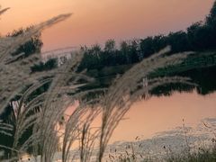 -东郊湿地公园
