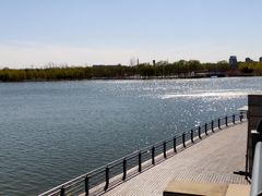 -大兴滨河森林公园