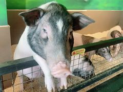 -昆明大悦城未来动物城(螺蛳湾中心店)