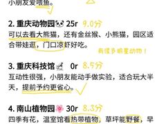 -观音桥步行街