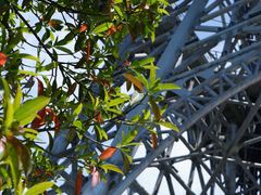 -敬亭山风景名胜区