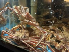-紫阳海鲜楼·传承闽味(长乐路总店)