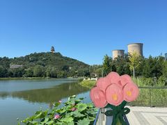 -首钢一高炉·SoReal科幻乐园