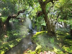 -Chom Cafe and Restaurant