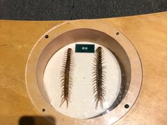 -陕西自然博物馆