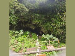 -海口火山口国家地质公园