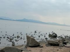 -深圳湾公园(南山区)
