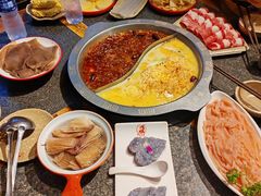 花胶鸡鸳鸯锅-巴将军·非遗老字号火锅(解放碑店)