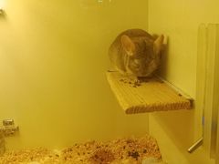 -龙猫仔乐园(惠福东路店)