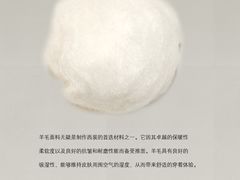 -VT101维多利广场
