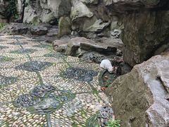 -静安公园(静安寺街道)