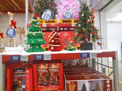 -山姆会员商店(上海浦东店)