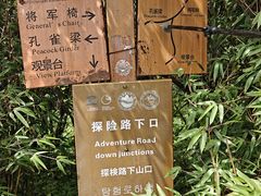 -王顺山国家森林公园