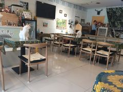 -平行世界·猫咖(首经贸店)