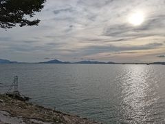 -七鲜渔港美食餐厅(巽寮湾海景店)