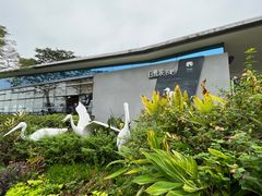 -深圳湾公园(南山区)