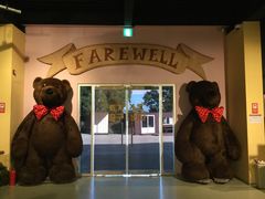 -济州岛泰迪熊博物馆