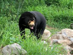 -北京野生动物园