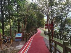 -广州市流溪河国家森林公园