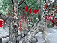 -哈密回王府景区