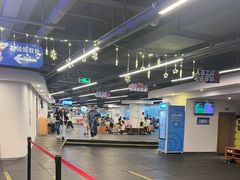 -世界之窗阿尔卑斯冰雪世界
