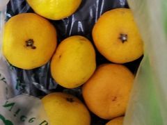 -百果园PAGODA(庆春东路店)