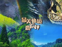 -鹿院坪生态旅游景区