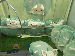 -爱玩嘉年华(成都北城天街店)
