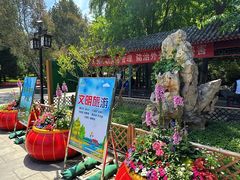 -宣武艺园