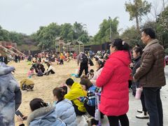 -枫香湖儿童公园