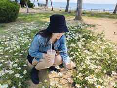 -悦海公园