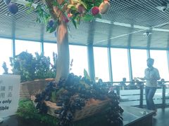 -澳门旅游塔360°旋转餐厅(南湾湖广场店)